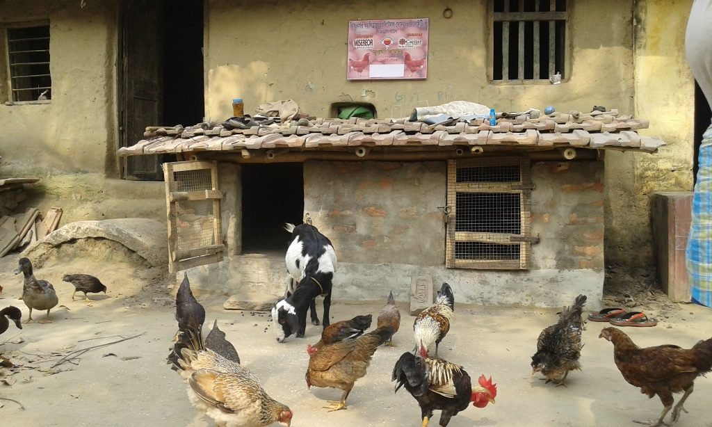 gottary farming at chapra christian para 